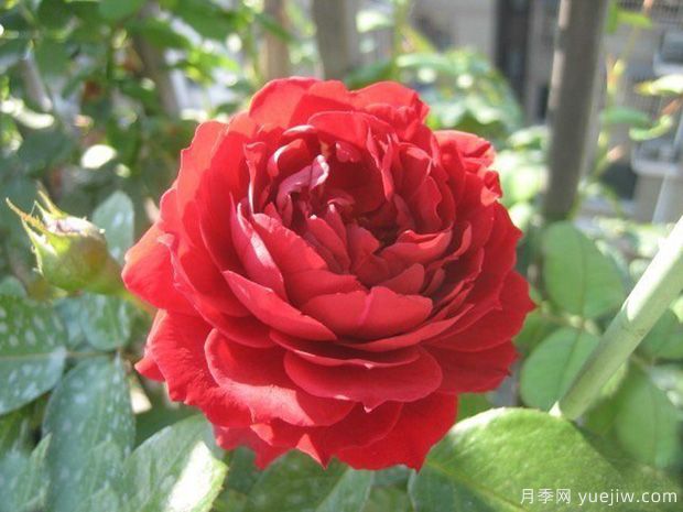 一個(gè)人***頂級的自律，是拒絕內(nèi)耗(圖1)
